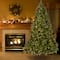 7.5ft. Pre-Lit Downswept Douglas® Fir Tree, Dual Color LED Lights
